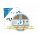 Taśma PRO 3YB 12V 2400 LED COB 10W WW