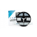 Taśma PRO 3Y 24V 350 LED 2835 SMD 6W CW RA90 HS