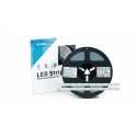 Taśma PRO 3Y 24V 1200 LED 2835 SMD 15W CW RA90 HS