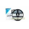 Taśma PRO 3Y 24V 1600 LED 2835 SMD 24W CW RA90