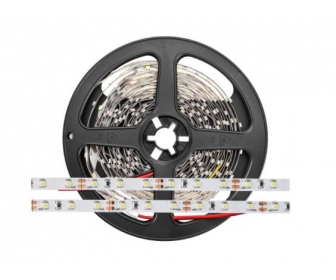 T-MAN Taśma PRO 300 LED 3528 SMD Biały zimny