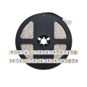 Taśma 150 LED 30LED/m 5050 SMD RGB