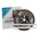 T-MAN Taśma PRO 300 LED 5050 SMD Biały zimny