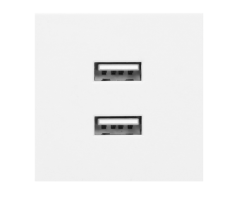 wyc.NOEN USB x 2, podwójny port modułowy 45x45mm z ładowarką USB, 2,1A 5V DC, biały
