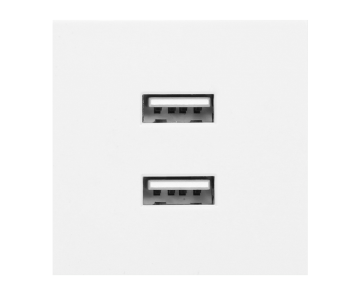 NOEN USB x 2, podwójny port modułowy 45x45mm z ładowarką USB, 2,1A 5V DC, biały