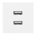 wyc.NOEN USB x 2, podwójny port modułowy 45x45mm z ładowarką USB, 2,1A 5V DC, biały