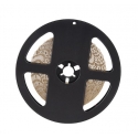 DESIGN LIGHT Taśma PREMIUM 120 LED/m typ 2835 IP20 9,6W/m, biała ciepła